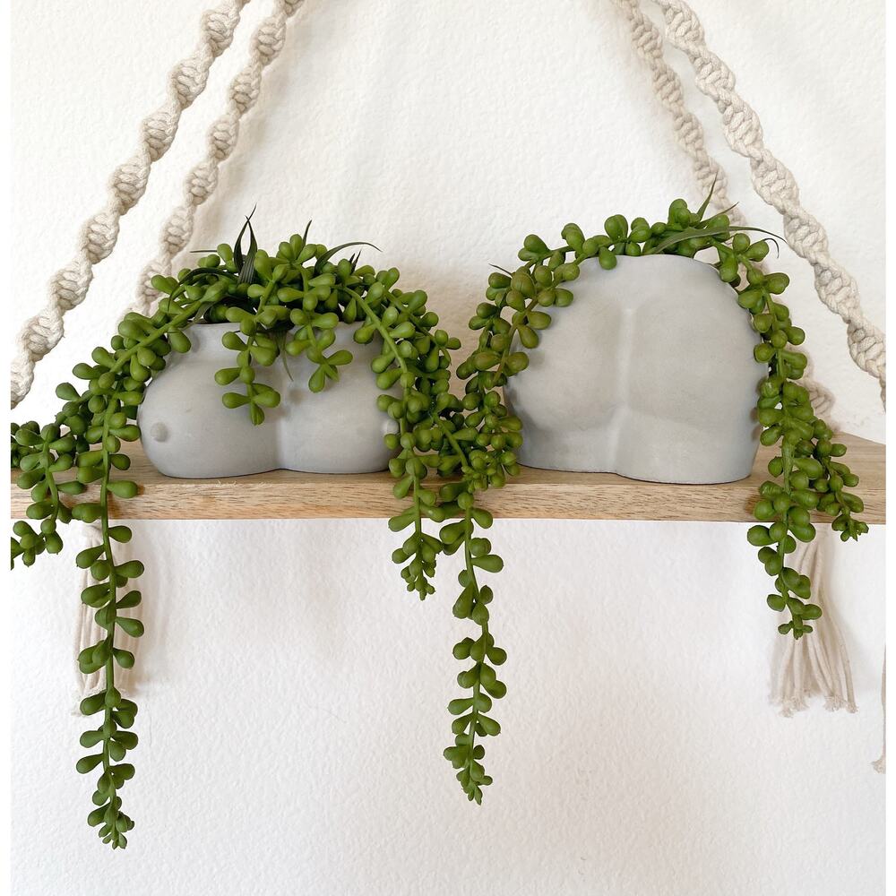 Cement Butt and Boob Pot with Faux Burro's Tail Succulent Hanging Plant
